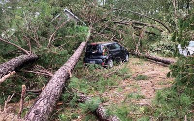 Riding Out Hurricane Helene and the Road Back to Normalcy
